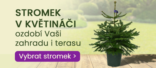 slide /fotky32736/slider/HP_banner_Stromek_v_kvetinaci_2025.jpg