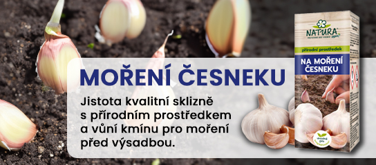 slide /fotky32736/slider/HP_banner_moreni_cesneku_cz3.jpg