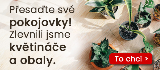 slide /fotky32736/slider/HP_banner_pokojovky_CZ.jpg